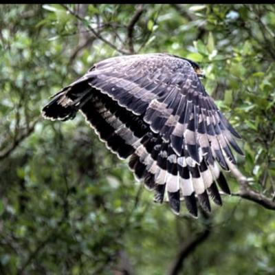 Sundarban Tour Package